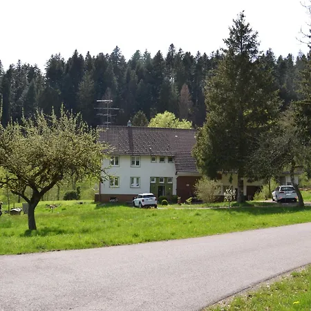 Landhaus Ferienwohnung - Am Leinbach - Stilvoll Renoviertes Apartment 85M2 - Schwarzwald Лосбург