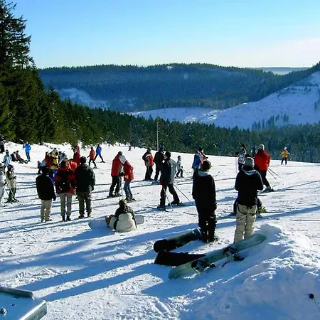 Am Leinbach, Nahe Freudenstadt Апартаменты Лосбург