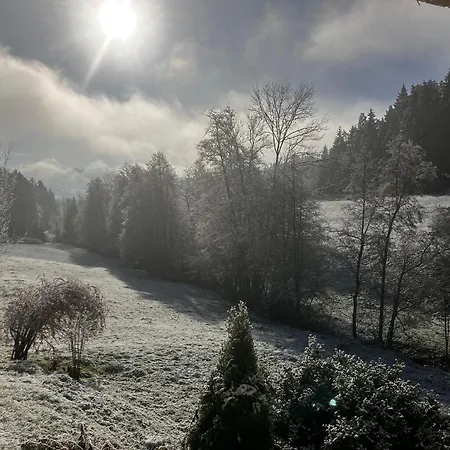 Am Leinbach, Nahe Freudenstadt Апартаменты Лосбург