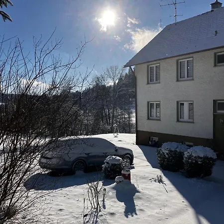 Lejlighed - Am Leinbach - Stilvoll Renoviertes 85m2 - Schwarzwald