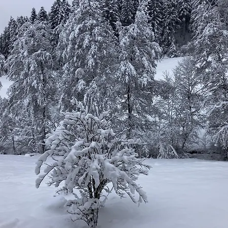 Апартаменты Am Leinbach, Nahe Freudenstadt *