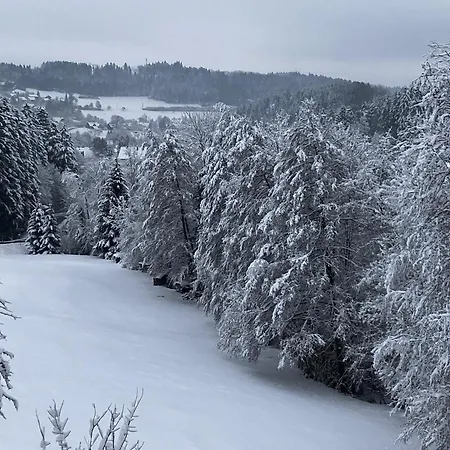 Landhaus Ferienwohnung - Am Leinbach - Stilvoll Renoviertes Apartment 85M2 - Schwarzwald Лосбург