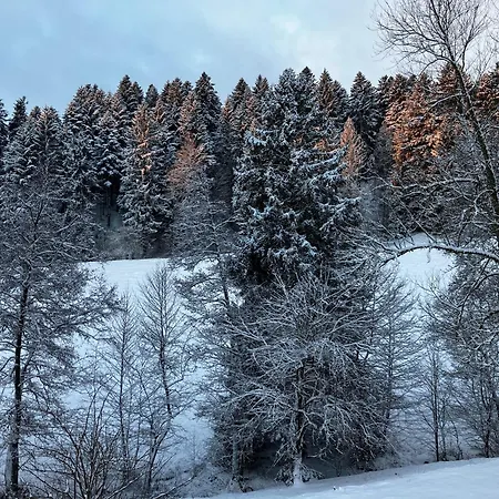 Am Leinbach, Nahe Freudenstadt Апартаменты Лосбург