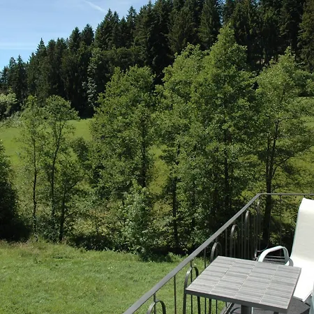アパート - Am Leinbach - Stilvoll Renoviertes 85m2 - Schwarzwald
